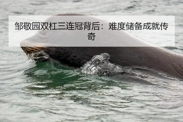 邹敬园双杠三连冠背后：难度储备成就传奇
