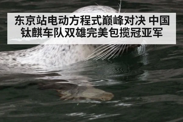东京站电动方程式巅峰对决 中国钛麒车队双雄完美包揽冠亚军