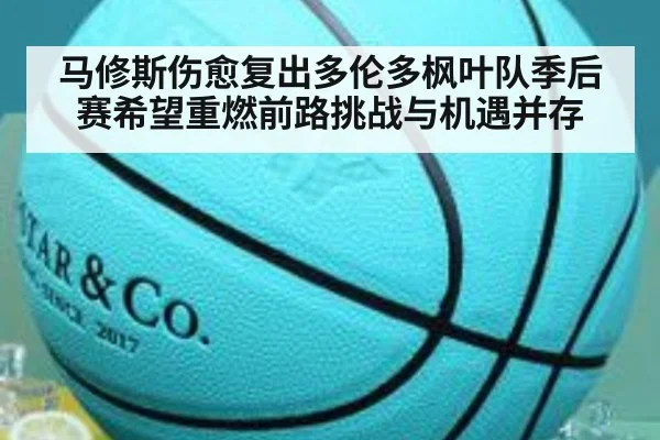 马修斯伤愈复出多伦多枫叶队季后赛希望重燃前路挑战与机遇并存